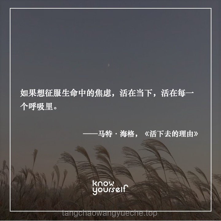 在明白“活在当下”后我不再焦虑